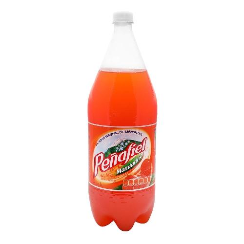 PEÑAFIEL MANDARINA DE 2 LT