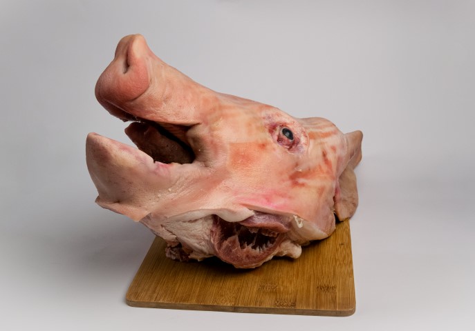 CABEZA DE CERDO