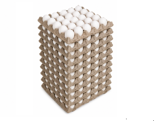HUEVO (CAJA)