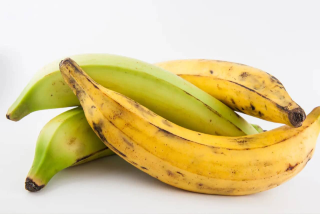PLATANO MACHO